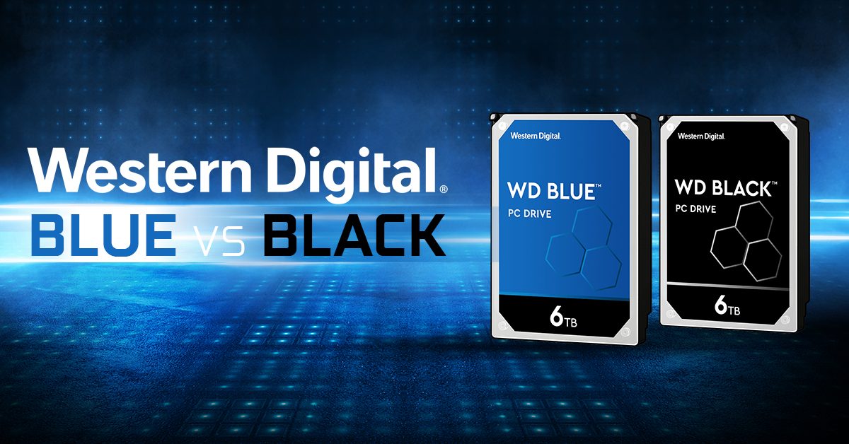 Western Digital Blue Vs Black Series Which Is Best For Your Needs 