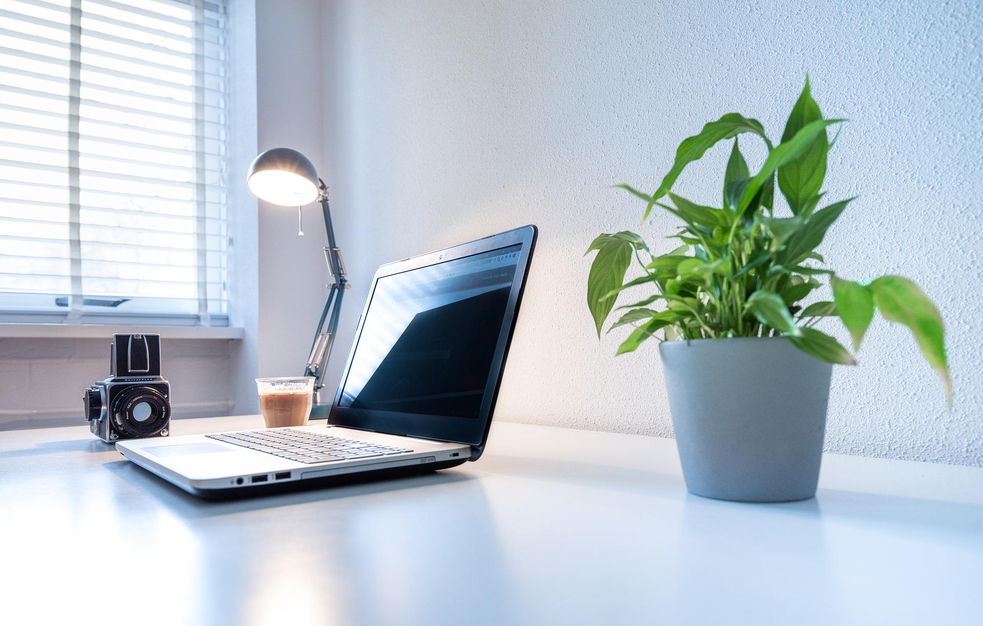 Plant on Desk Next to PC - A Present