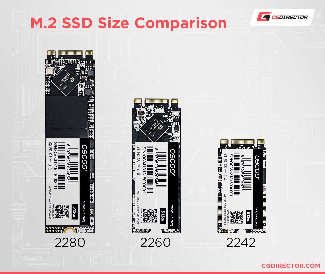 SSD Size Comparison