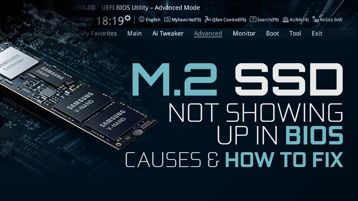 fraktion Stikke ud Modsatte New M.2 SSD Not Showing Up In BIOS [How to fix]