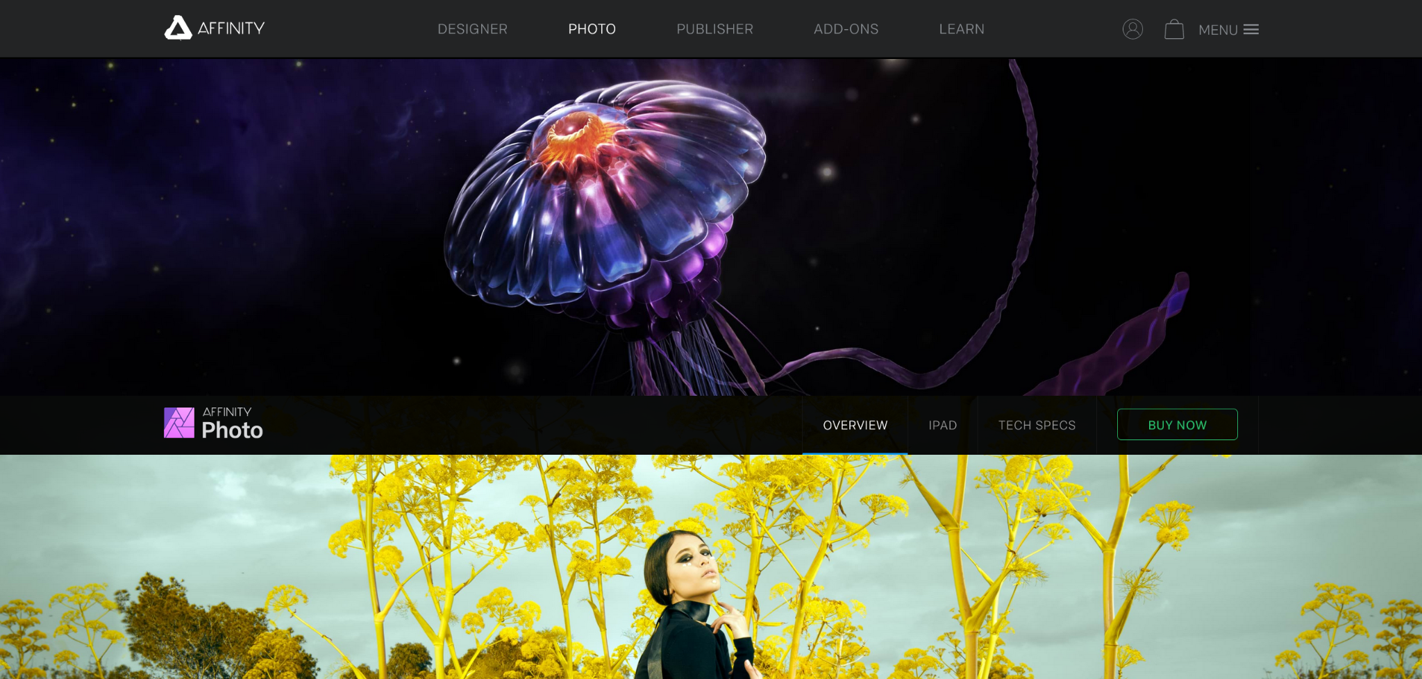 Affinity Photo