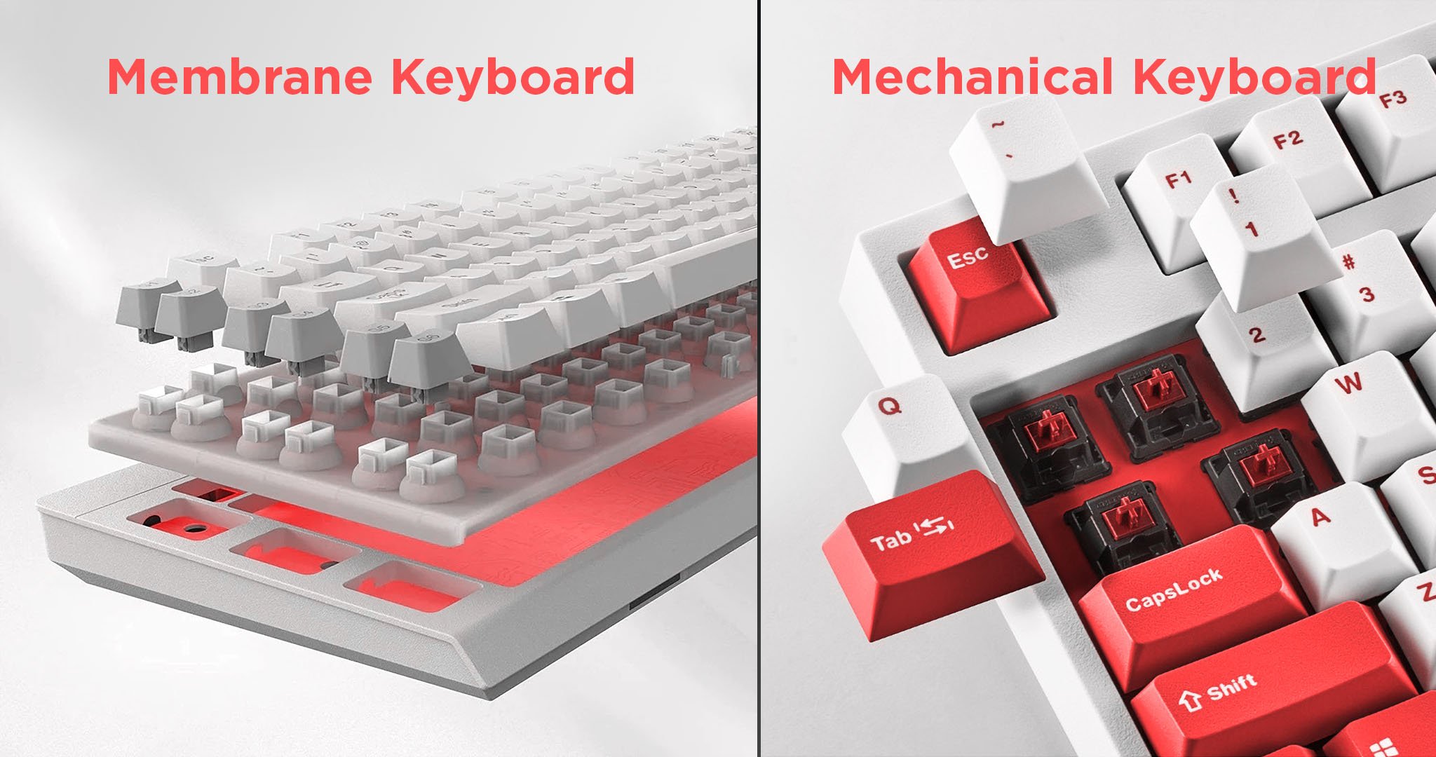 Beter Slaapkamer zuurstof Mechanical vs Membrane Keyboards [A Clear Winner?]
