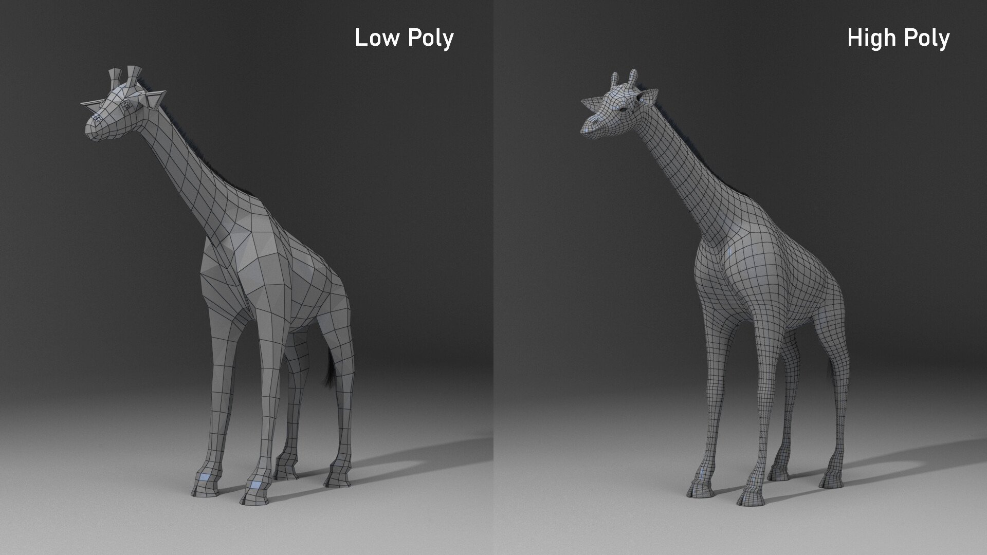 High Poly vs Low Poly Mesh