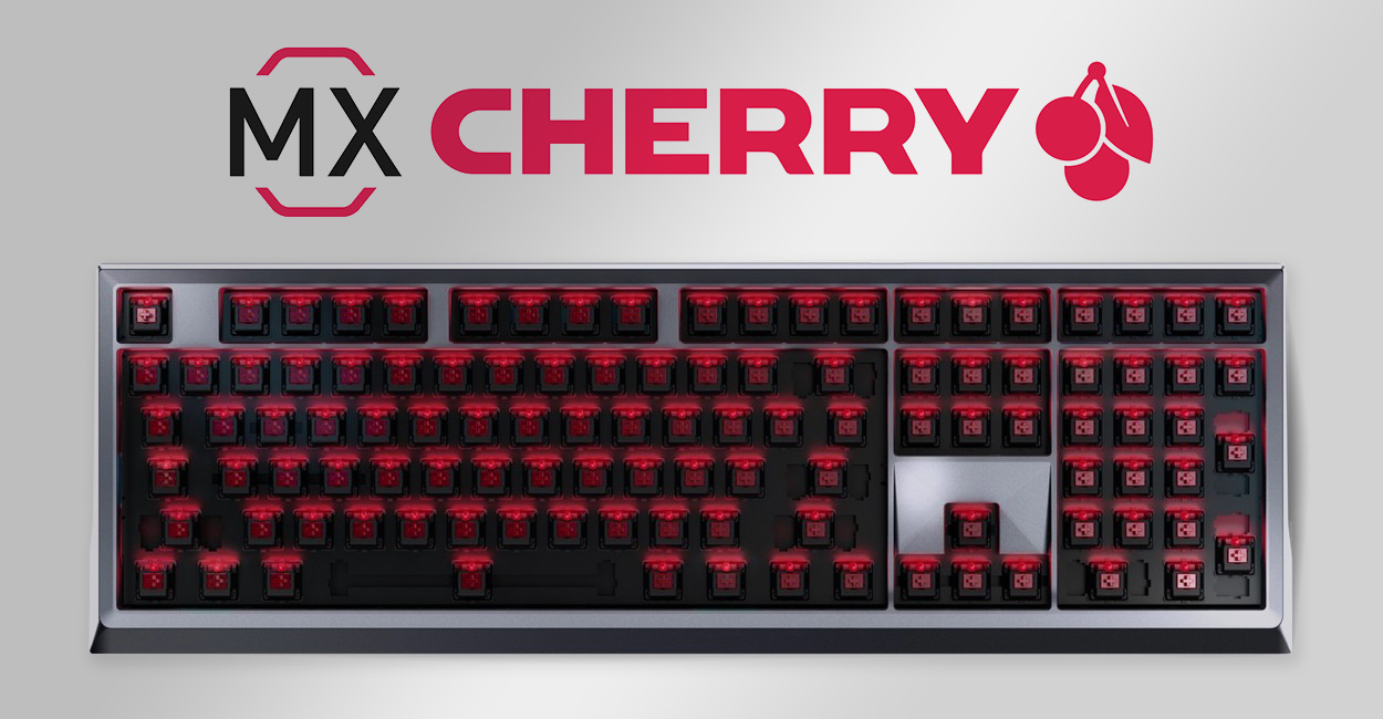 Cherry MX Mechanical Switches Keyboard