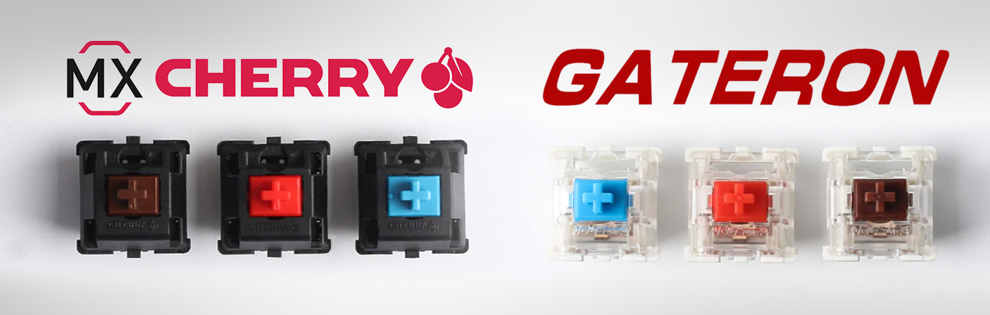 Cherry MX vs Gateron Switches