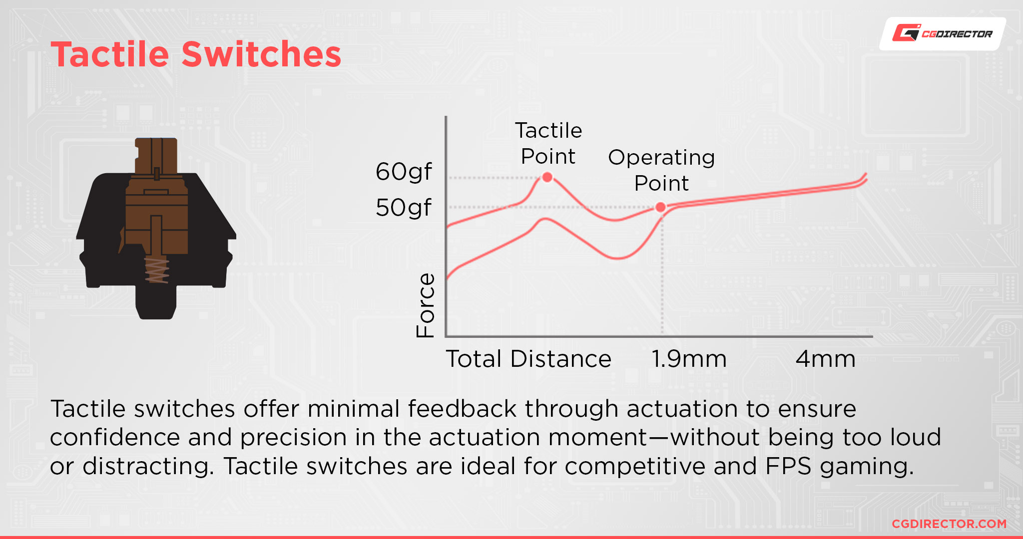 Tactile Switches
