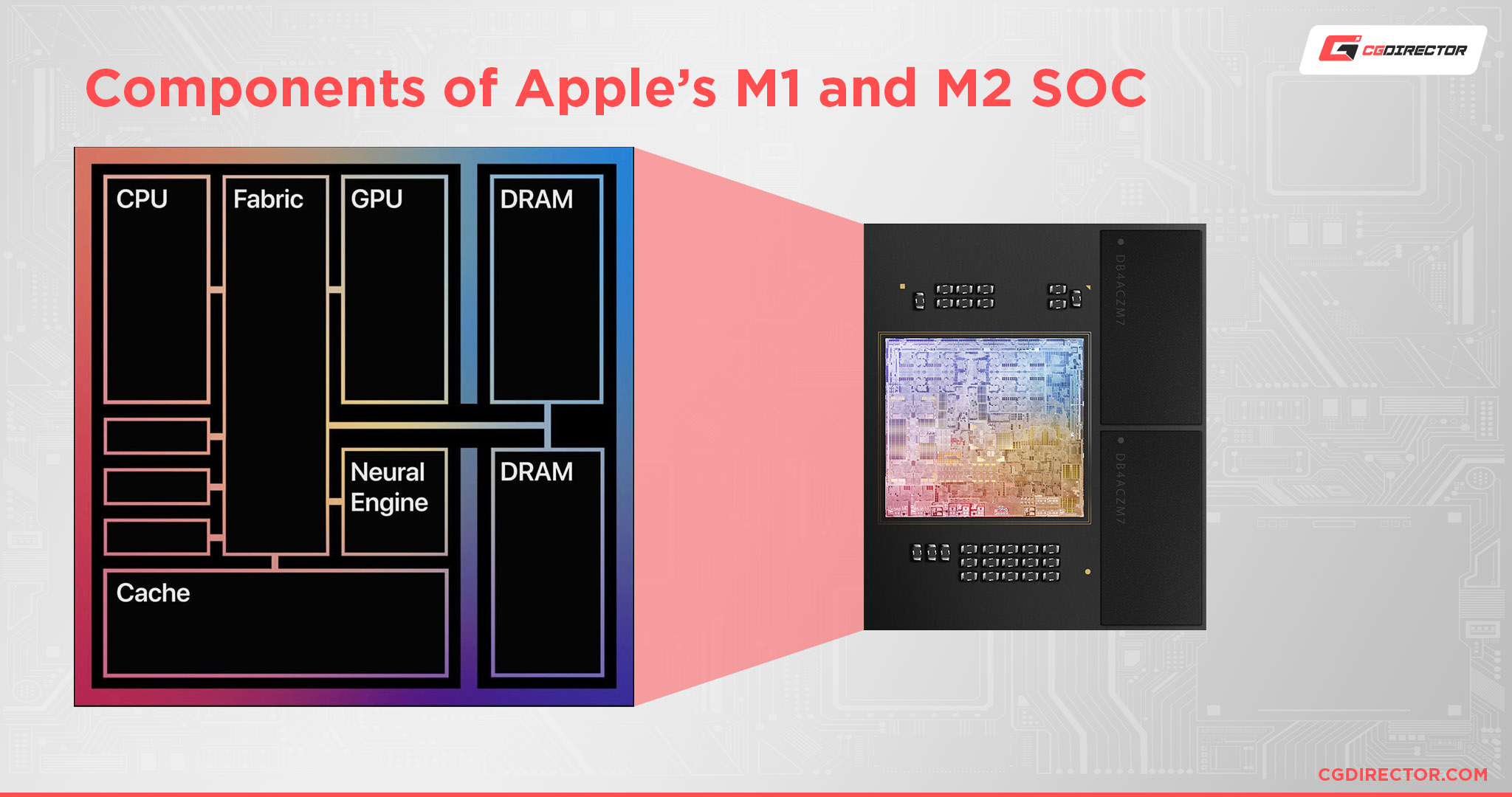 Components of Apple’s M1 and M2 SOC