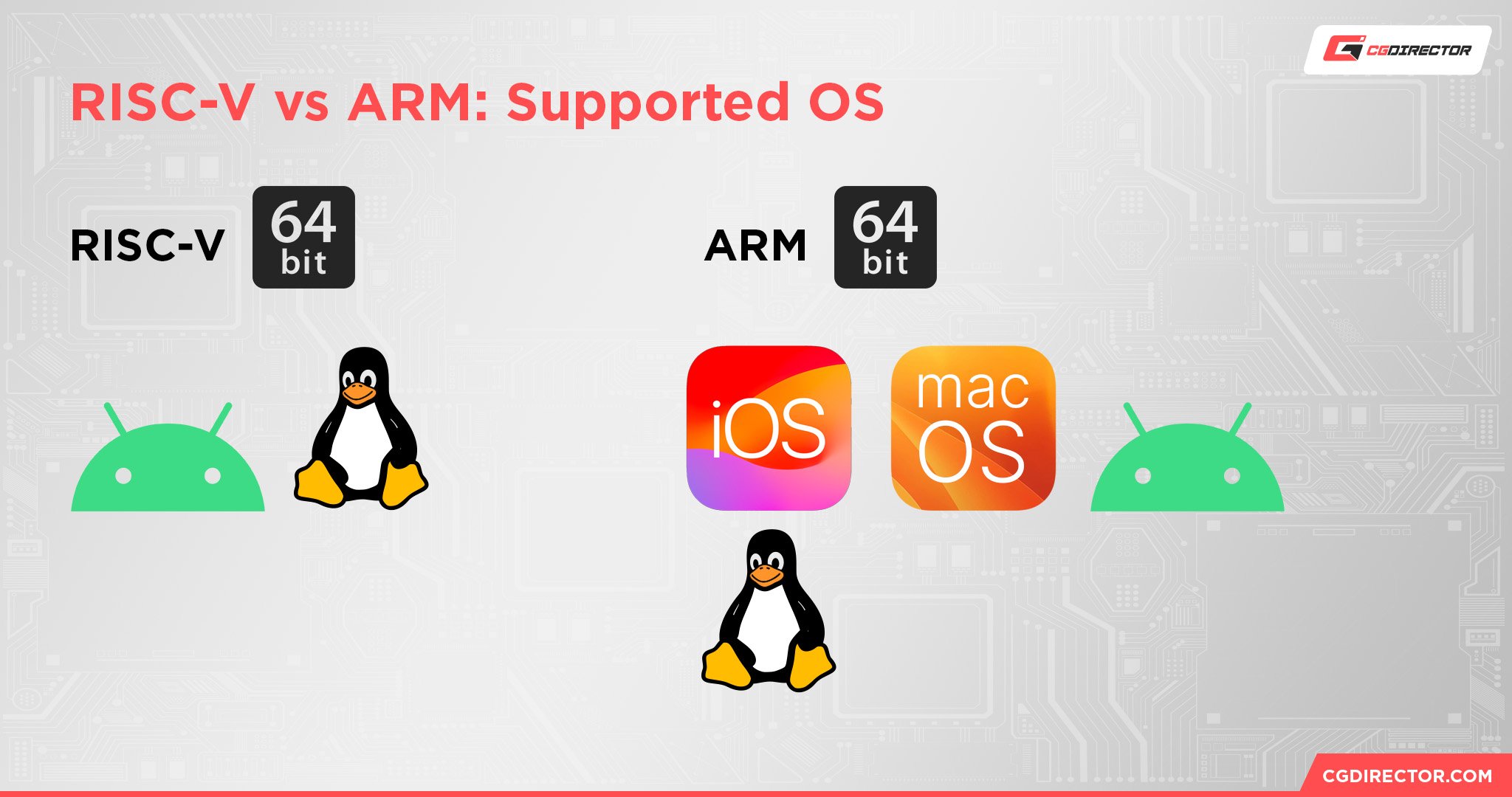 RISC-V vs ARM Supported OS
