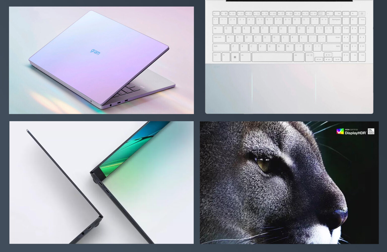 Is LG a Good Laptop Brand? [2024 Update]