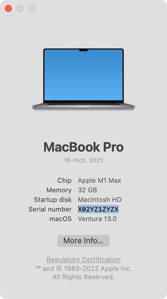 MacBook Pro System Information